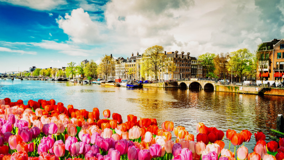 best places to visit in spring: amsterdam