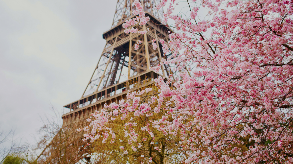 best places to visit in spring: paris