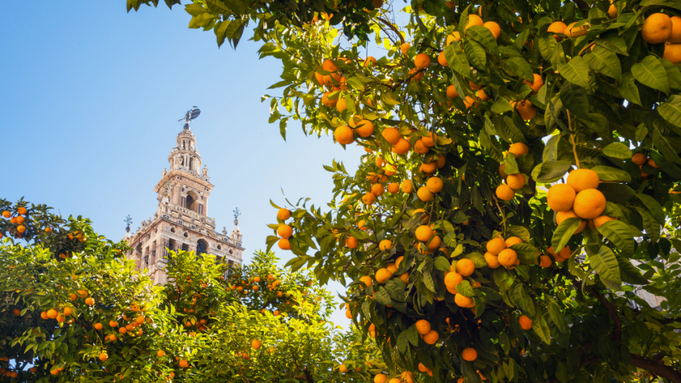 best places to visit in spring: seville