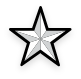 company icon