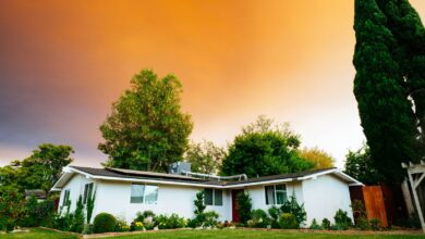 What Should I Include in a Lease as a Property Owner?