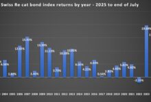 Seasonality lifts catastrophe bond market returns to one of the best July’s ever