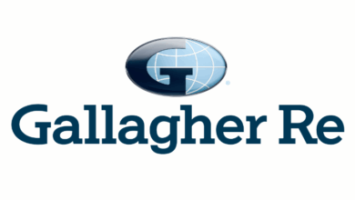 AI solutions can shorten catastrophe bond timelines, improve investor confidence: Gallagher Re