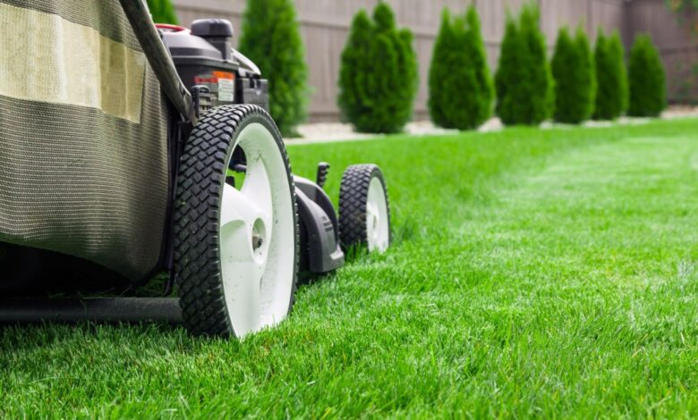 What You Should Know About Lawn Care Insurance What You Should Know About Lawn Care Insurance